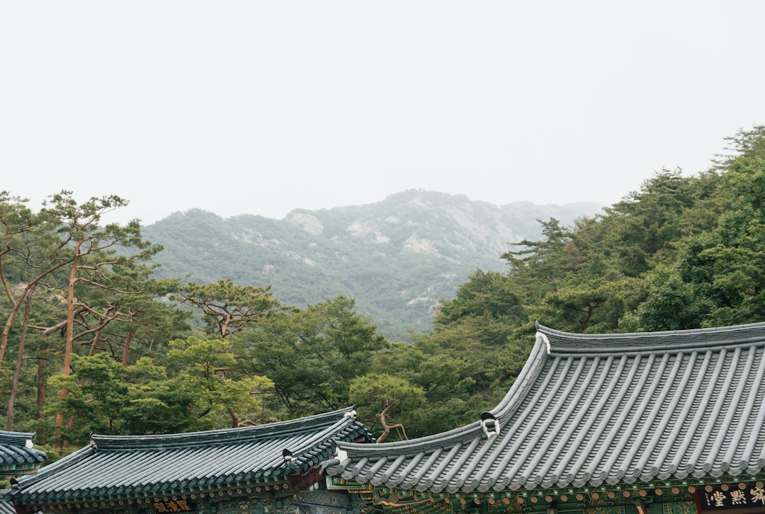 포장이사추천 참고 이미지 2